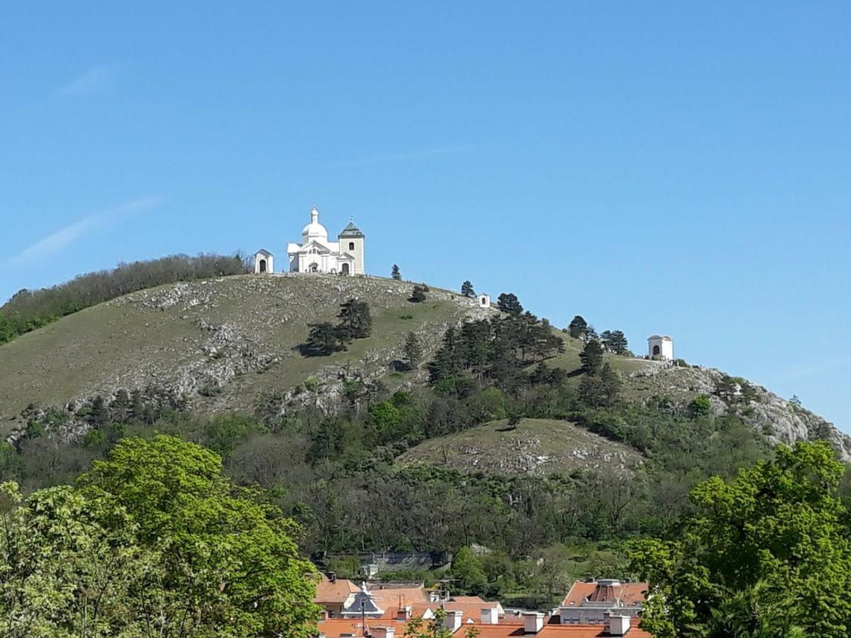 Ubytovani Na Spaciru Mikulov Eksteriør bilde
